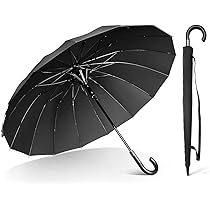 Amazon.co.jp: TTOVALIGERIA(TTOバリジェリア) 傘 長傘 16本骨 メンズ